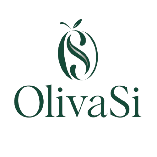 WhatsApp_Image_2025-05-27_at_14.05.20-removebg-preview-1